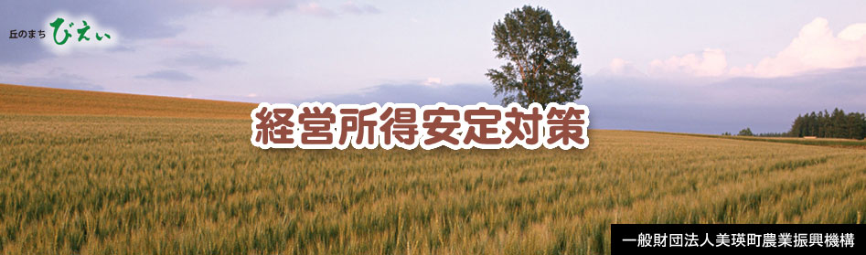 経営所得安定対策