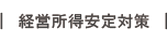 経済所得安定対策
